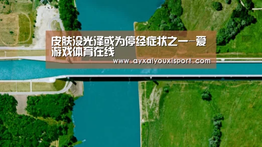 皮肤没光泽或为停经症状之一-爱游戏体育在线(图1) 爱游戏体育在线