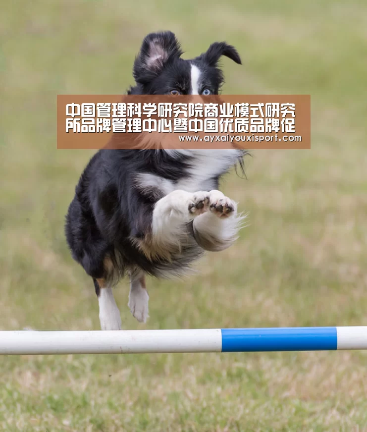 中国管理科学研究院商业模式研究所品牌管理中心暨中国优质品牌促进发展工程在北京正式启动-ayx(图1) 中国管理科学研究院商业模式研究所品牌管理中心暨中国优质品牌促进发展工程在北京正式启动-ayx(图1)