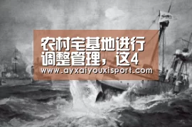 农村宅基地进行调整管理，这4种宅基地可能不再属于自己！|aiyouxi(图2)