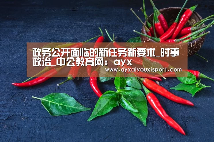 政务公开面临的新任务新要求_时事政治_中公教育网:ayx(图2) ayx体育