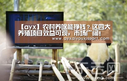 【ayx】农村养啥能挣钱？这四大养殖项目效益可观，市场广阔！(图1)