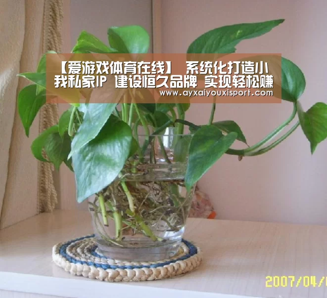 【爱游戏体育在线】
系统化打造小我私家IP 建设恒久品牌 实现轻松赚钱(图2)