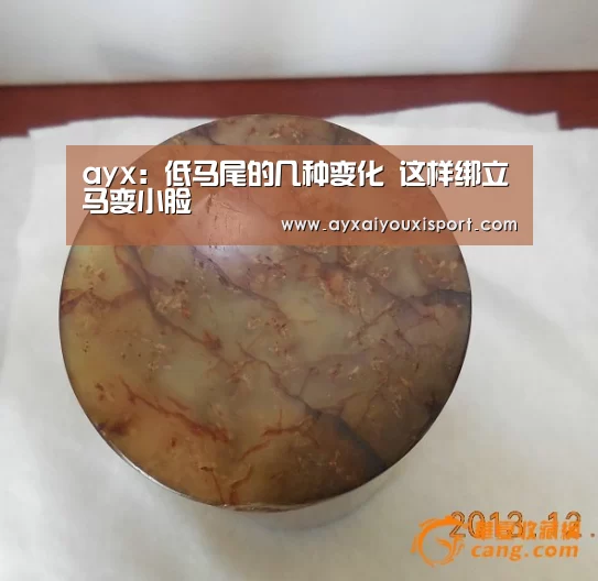 ayx:低马尾的几种变化 这样绑立马变小脸(图2) ayx:低马尾的几种变化 这样绑立马变小脸(图2)