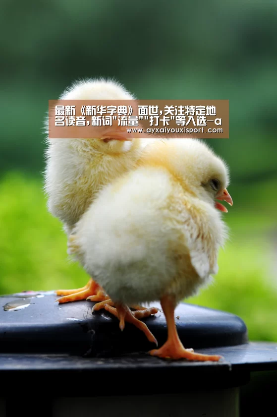 最新《新华字典》面世,关注特定地名读音,新词流量打卡等入选-ayx(图1)
最新《新华字典》面世,关注特定地名读音,新词流量打卡等入选-ayx(图1)