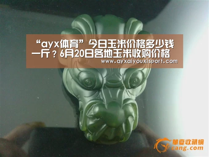 “ayx体育”今日玉米价格多少钱一斤?6月20日各地玉米收购价格行情(图2) ayx体育