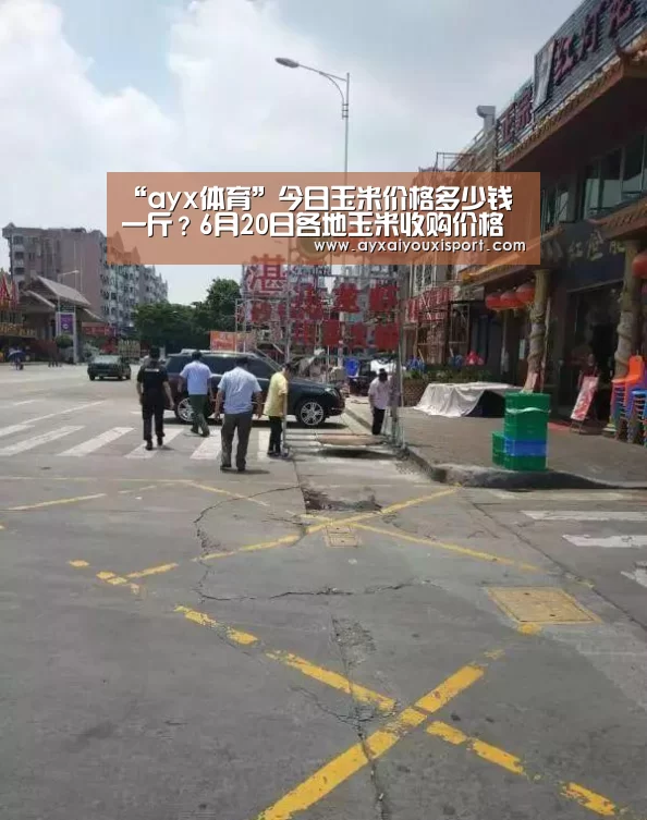 “ayx体育”今日玉米价格多少钱一斤?6月20日各地玉米收购价格行情(图3) ayx体育
