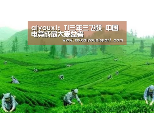 aiyouxi:TI三年三飞跃 中国电竞成最大受益者(图2) 爱游戏体育在线