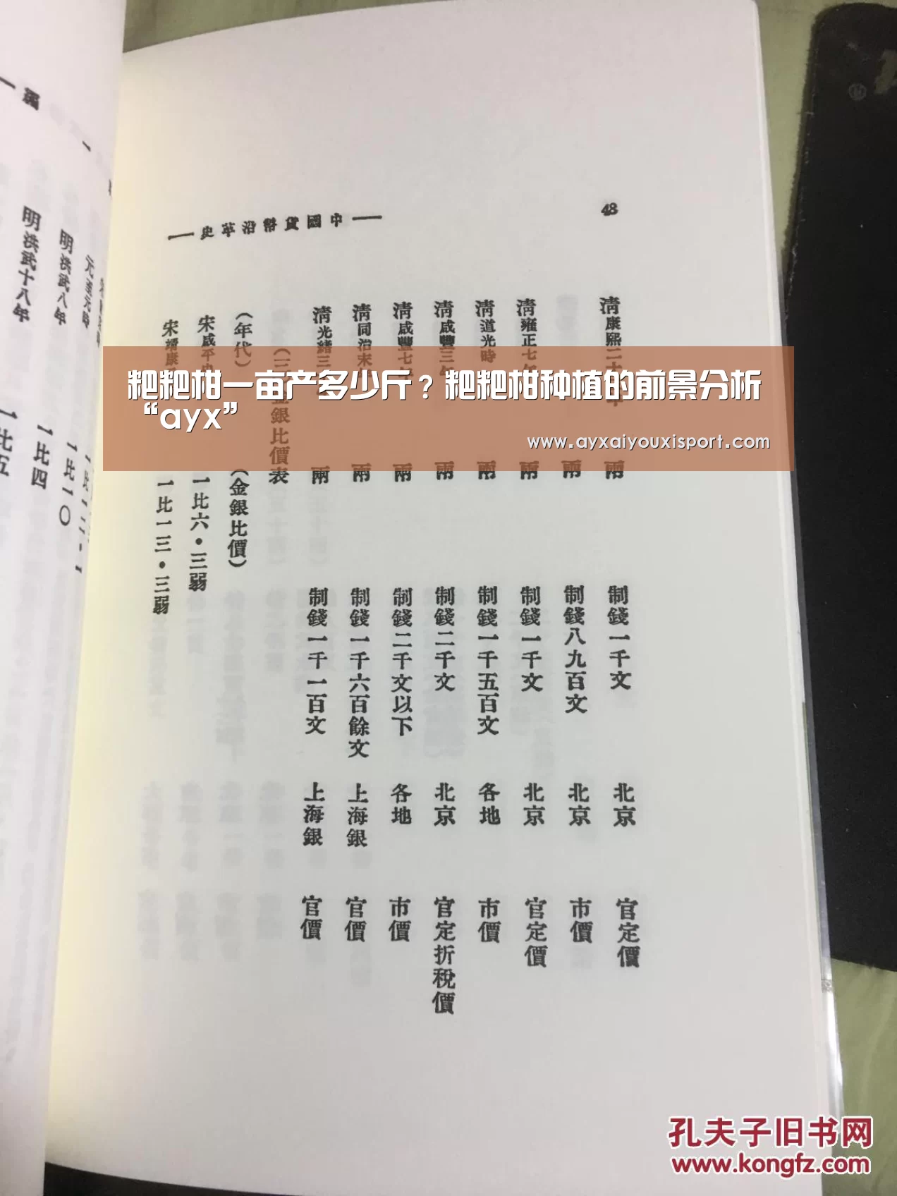 粑粑柑一亩产多少斤?粑粑柑种植的前景分析“ayx”(图4) 粑粑柑一亩产多少斤?粑粑柑种植的前景分析“ayx”(图4)