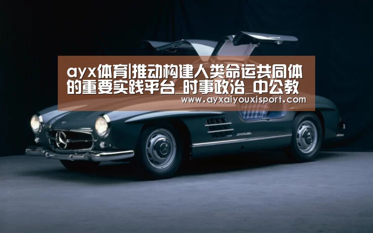 ayx体育|推动构建人类命运共同体的重要实践平台_时事政治_中公教育网(图2) ayx体育|推动构建人类命运共同体的重要实践平台_时事政治_中公教育网(图2)