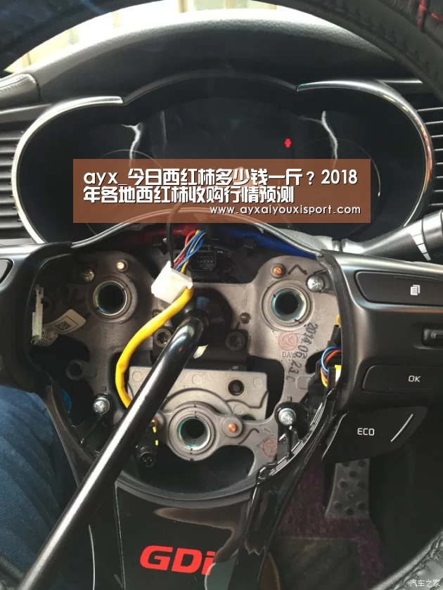 ayx_今日西红柿多少钱一斤？2018年各地西红柿收购行情预测(图1)
