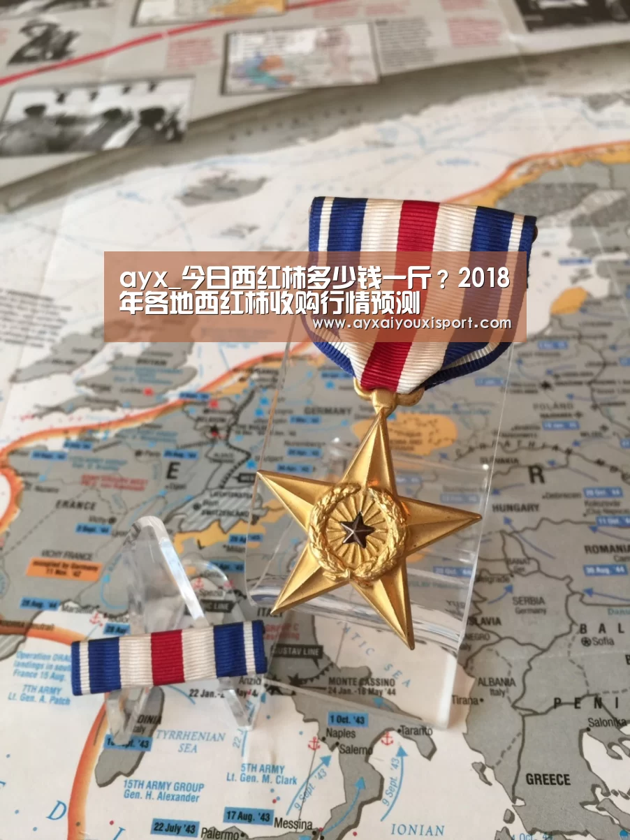爱游戏体育在线