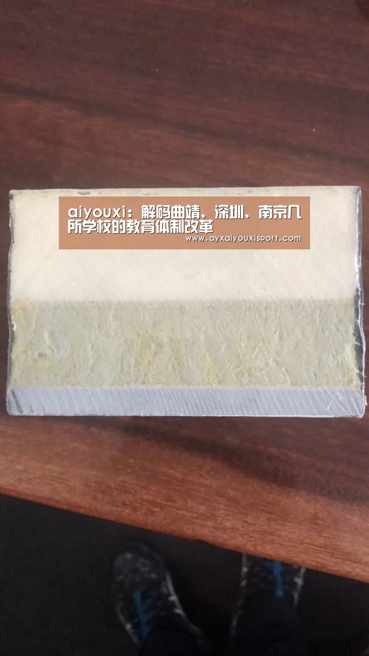 aiyouxi:解码曲靖、深圳、南京几所学校的教育体制改革(图2) aiyouxi:解码曲靖、深圳、南京几所学校的教育体制改革(图2)